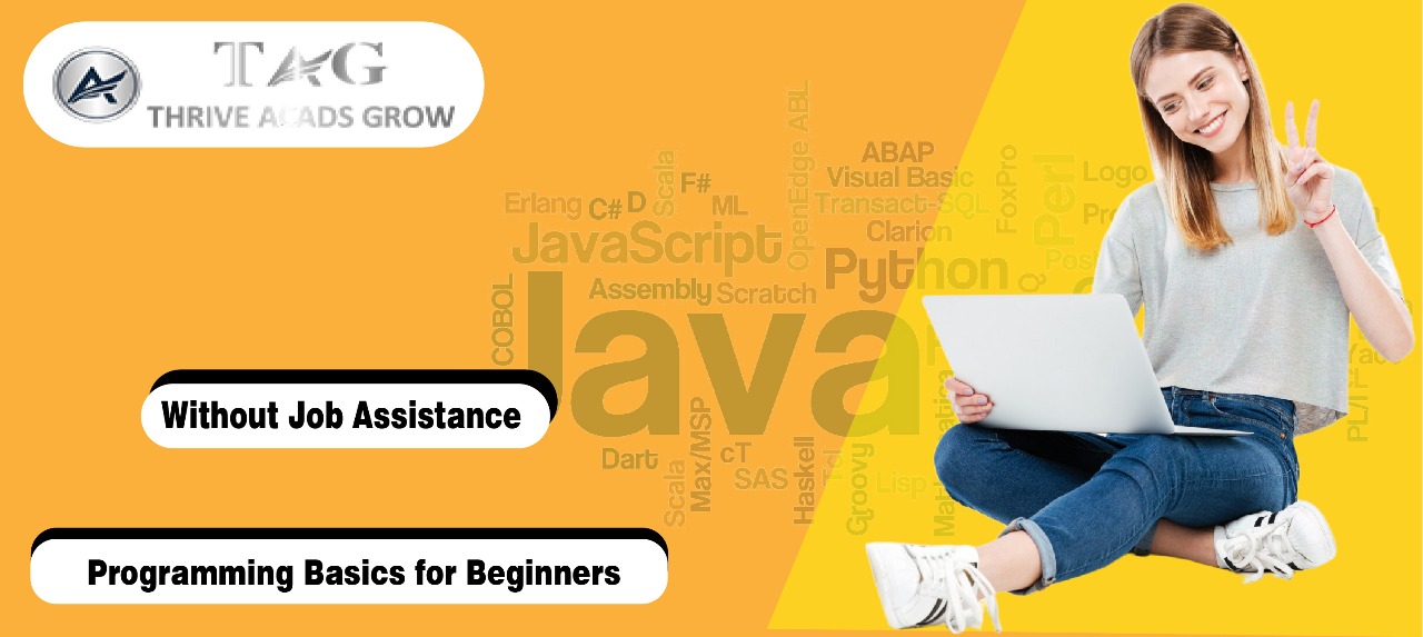 Programming Basics for Beginners
